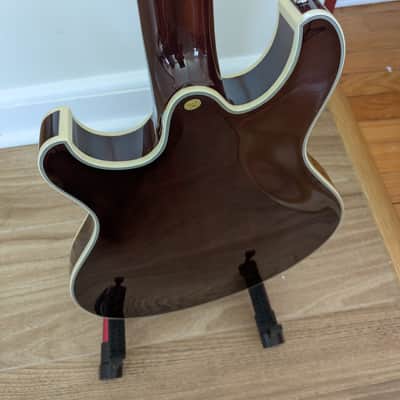Firefly Pegasus Hollow-Body 2026 - *RARE* Flamed Maple Cherry Burst image 11