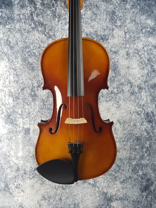 Stagg VA15 Solid Maple Full Size Viola Outfit - Re-Sale (Good Condition) image 1