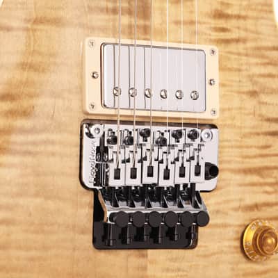 Gibson Custom Shop Les Paul Axcess Standard Figured Floyd Rose Gloss DC Rust image 8