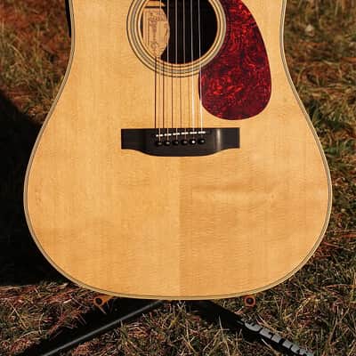 Alvarez Yairi Dy98 Modulus Graphite neck image 2