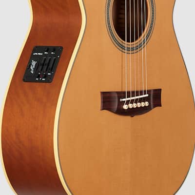 Maton Master Built  The T.E. Personal Cut Away (SPECIAL ORDER) image 6