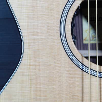 Taylor 414ce 8-String Baritone Acoustic-Electric Guitar – Sitka Spruce / Indian Rosewood – Tone Show Exclusive image 17