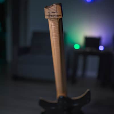 Strandberg Guitars Boden Standard 2022 - Green image 15