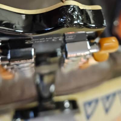 ESP LTD TL-12 Thinline Acoustic-Electric Guitar, 12-String image 10
