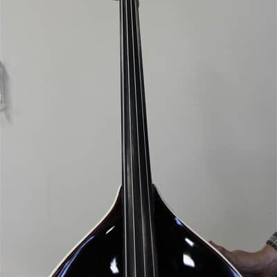 King Doublebass Road King 2008 very rare, no longer being made image 4