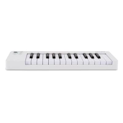 Arturia MICROLAB-MK3 Universal Midi Controller (White) image 5