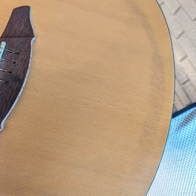 Breedlove AC250/CR Acoustic/Electric Guitar w/Case - Natural (2005) image 9