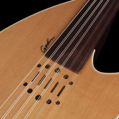 Godin Multi Oud Encore Nylon Natural SG with bag NEW Model # 037414 MultiOud image 5