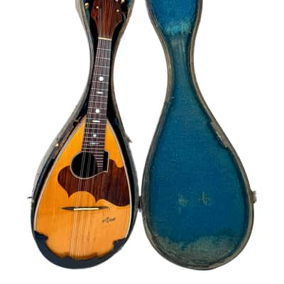G. Kasermann Concert Mandolin (Apus Mark) 1920’s image 20