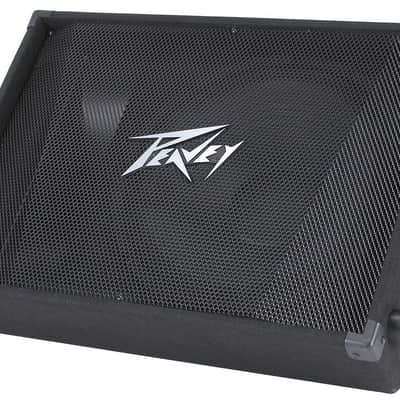 Peavey PV 15M 2-Way Floor Monitor image 2