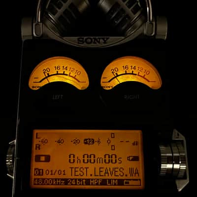 Sony PCM-D1 Digital Linear Recorder image 11