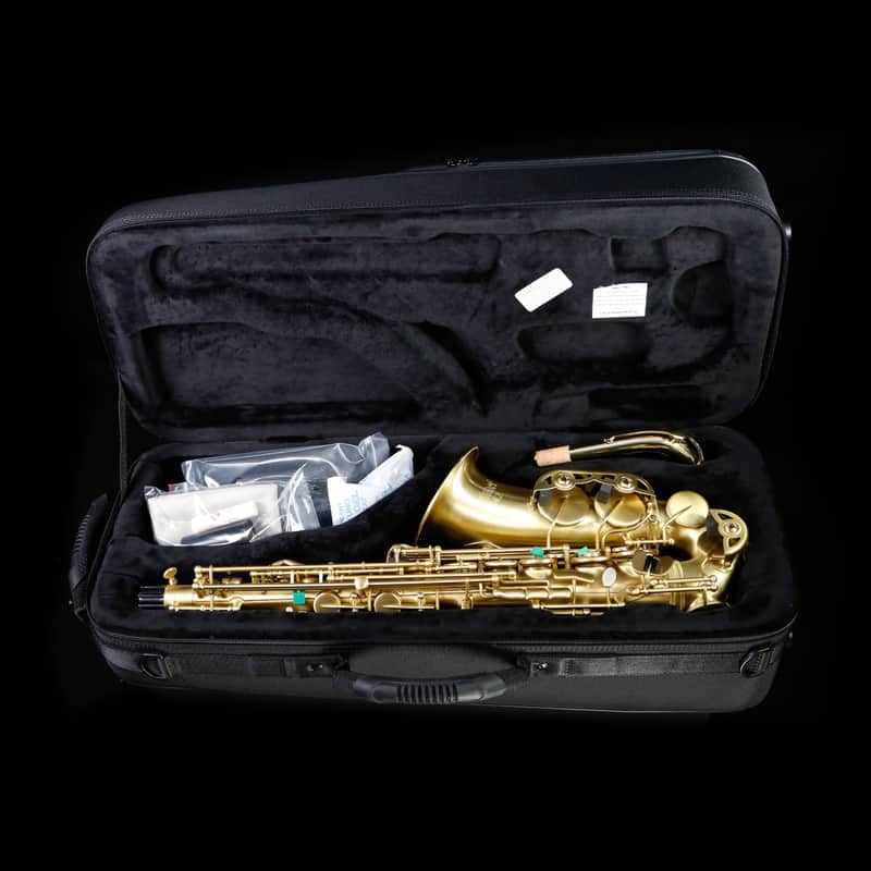 Selmer AS42M Professional Eb Alto Saxophone, Matte Finish image 1