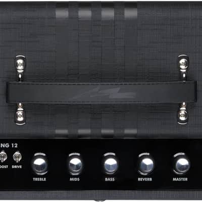 Supro Amplification Delta King 12 | 15 Watt 1x12 w/ Reverb image 5