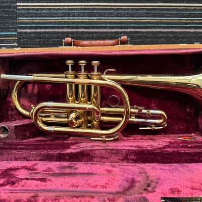 Holton Collegiate cornet - yellow brass, nickel ferrules image 1