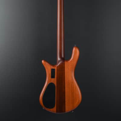 Spector Euro 4 RST - Sienna Stain Matte image 6