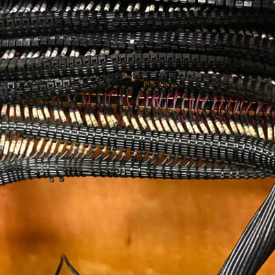 ADC 5x 96-Point TT Patchbay Rack w/ Elco I/O – 16U Rolling Case CG01SYD *ASK FOR SHIPPING* image 20