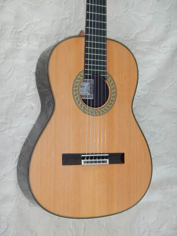 Esteve 7SR 640 short scale classical guitar/all solid wood/cedar top image 1