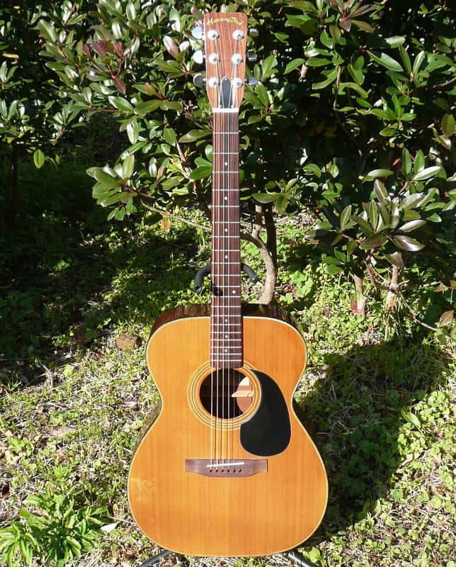 Tokai Humming Bird F100 OOO size 1970's Natural | Reverb