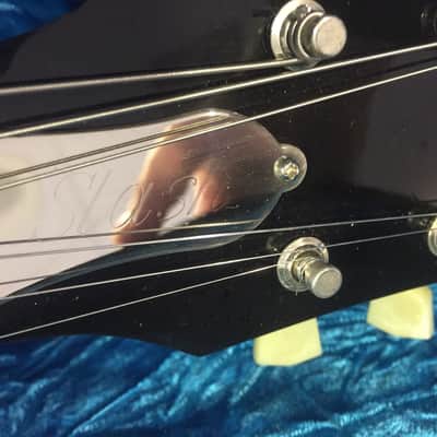 Gibson Les Paul Snake Pit image 6