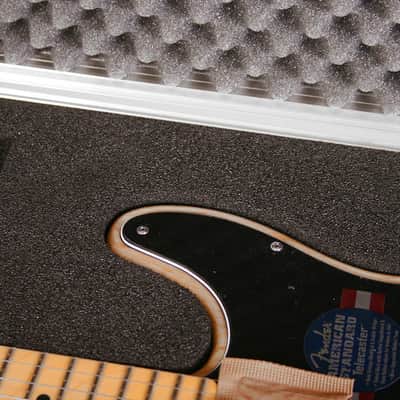 Thon Guitar Case For T-Style Guitars image 16