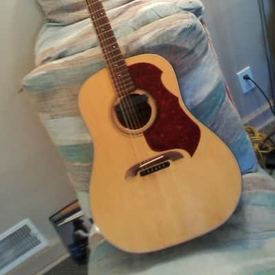 Alvarez Yairi Dy-38 image 3