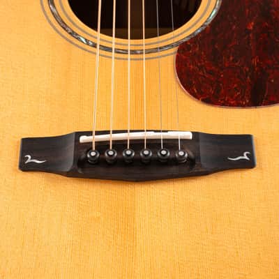 Cort Gold-A6 Bocote - Natural Gloss W/Case image 3