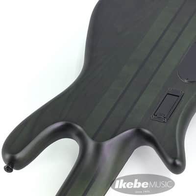 SPECTOR NS Dimension MS 5 - Haunted Moss image 11