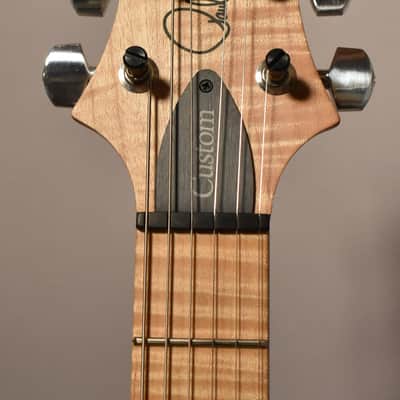 2017 PRS Custom 24 Autumn Burst Electric w/OHSC image 5