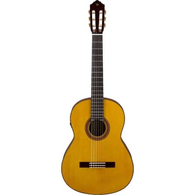 Yamaha Transacoustic Nylon String Cg Guitar image 2