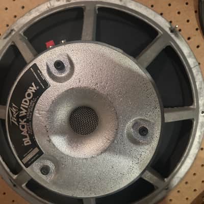 Peavey/JBL Hybrid BW/D120 image 3