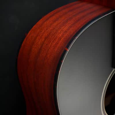 Eastman E1SS image 5