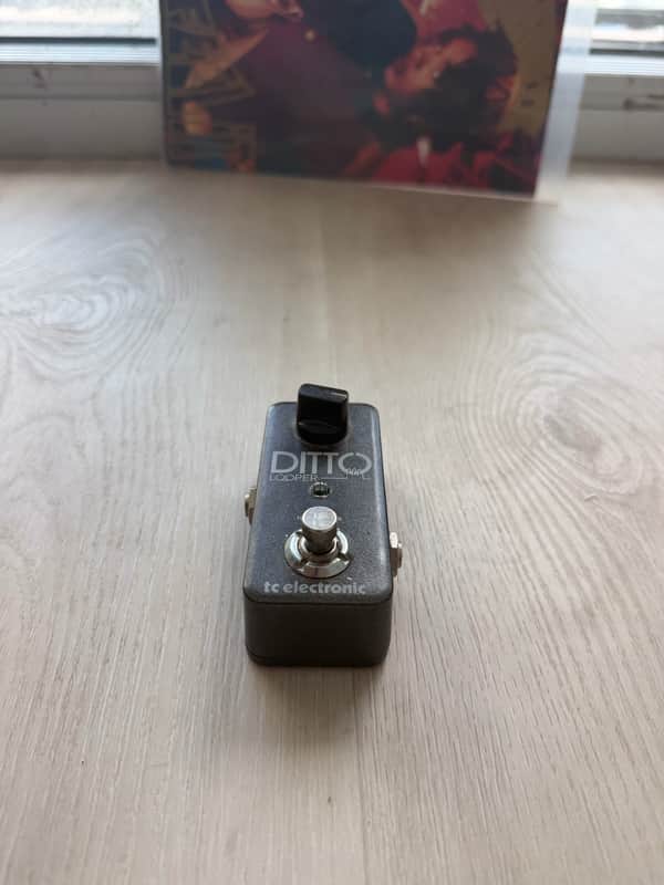 TC Electronic Ditto Looper