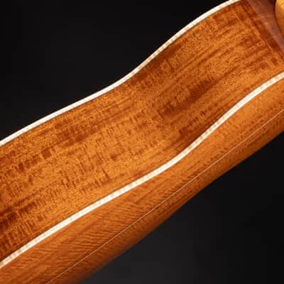 Goodall Parlor 14 Fret - Adirondack Spruce & Beeswing Mahogany image 10