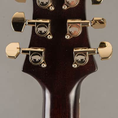 Baldacci Bighorn Solid 2020, NYGD Sunburst image 8