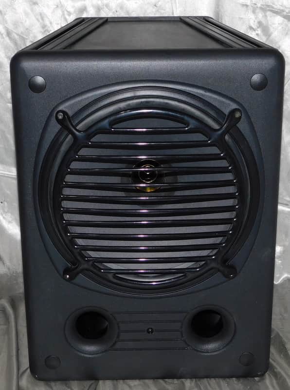 Tannoy CPA 12 dual concentric sound reinforcement speaker image 1