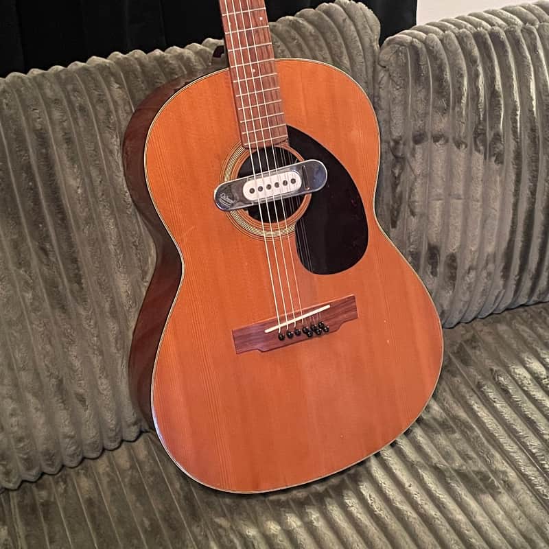 Yamaha FG-75 9-String Folk Guitar image 1