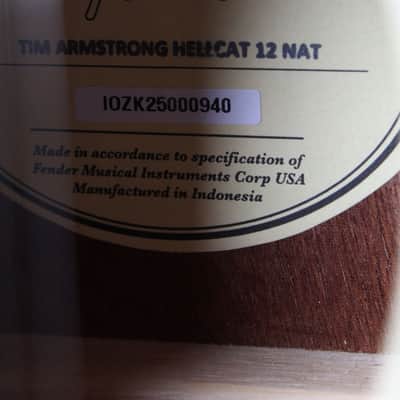 Fender Tim Armstrong Hellcat 12 String Acoustic Electric Guitar Natural Finish image 5