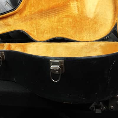 Vintage 1970's Gold Interior Acoustic Case image 4