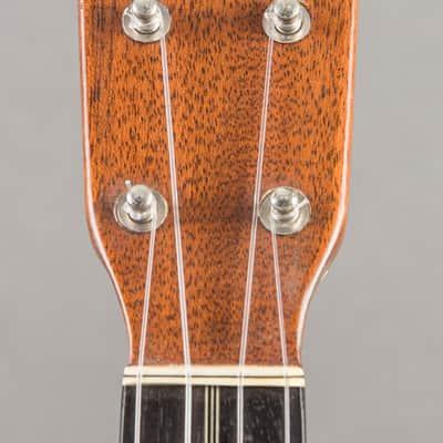 Martin K3 1920s, Natural image 4
