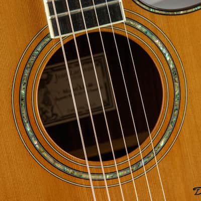 2002 Larrivee LV-10 Custom, Indian Rosewood/Cedar image 10