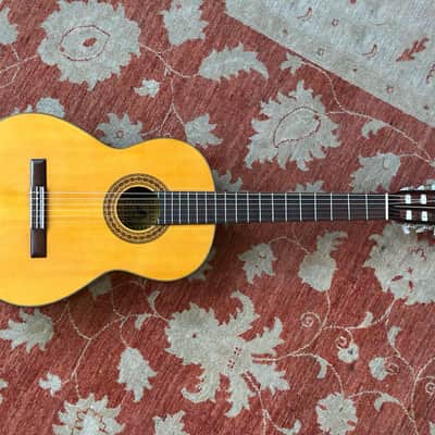 Wayne D-65 Classical Guitar imagen 2