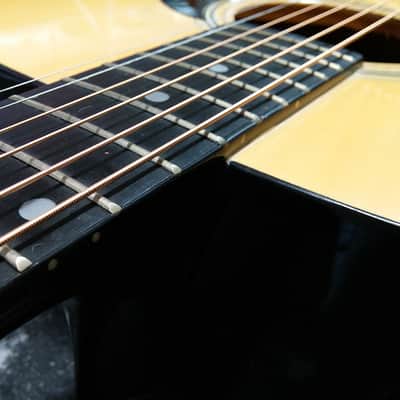Pignose Dreadnaught Acoustic Guitar  (Natural Gloss) image 5