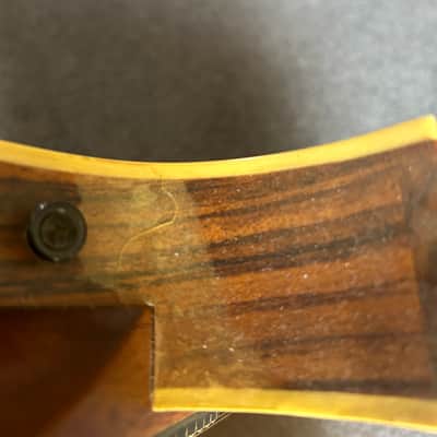 Tacoma M2 Mandolin with hard case - made in the USA image 8