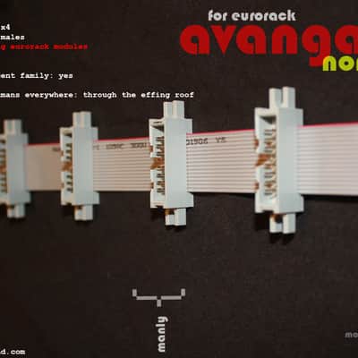 • 4-Outlet Eurorack Flying Power Bus Ribbon Cable • Nordstream2 Series • Avantgarde Sound 2024 image 4