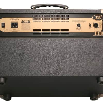 Peavey Ecoustic E110 W/Ft Controller image 2