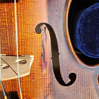 Amati Artisan B 13" Viola image 5