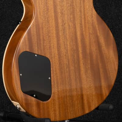Gibson USA Les Paul Standard 50s Double Trouble - Vintage Tobacco Burst image 10