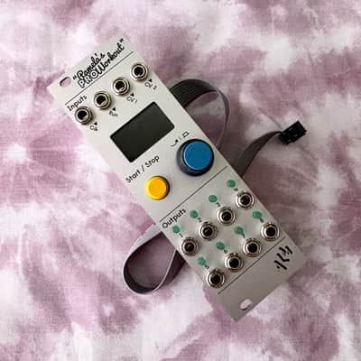 ALM/Busy Circuits ALM034 Pamela's Pro Workout Clocking Modulator Eurorack Synth Module 2022 - Present - Silver image 2