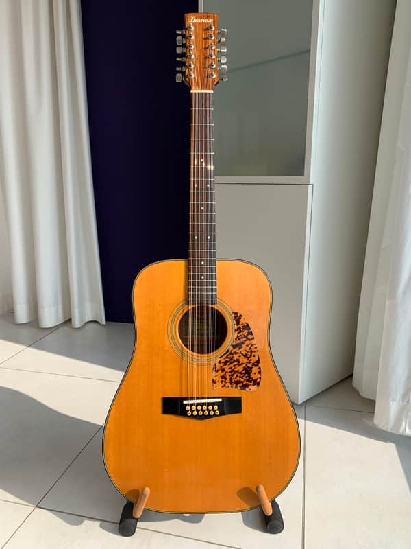 Ibanez AW25 1979 | Solid Japanese 12 String Artwood Acoustic