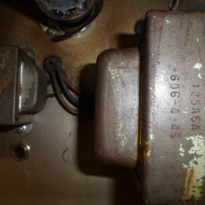 1964 Fender Tremolux Tube Amplifier image 8